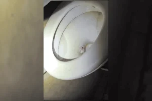 Traficante é preso na Ceilândia durante flagrante